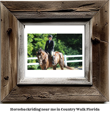 horseback riding near me in Country Walk, Florida